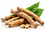 Adaptogen